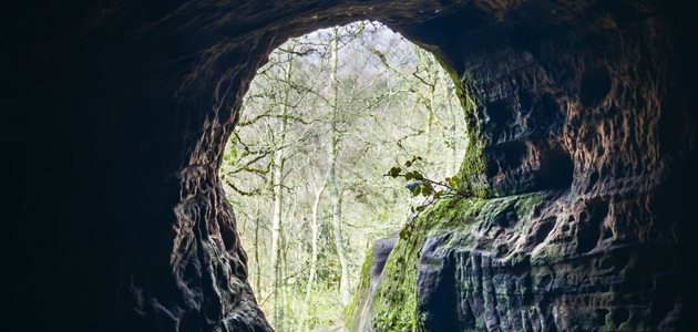 ‘Practice resurrection’: Dana Smith’s Thought for the week